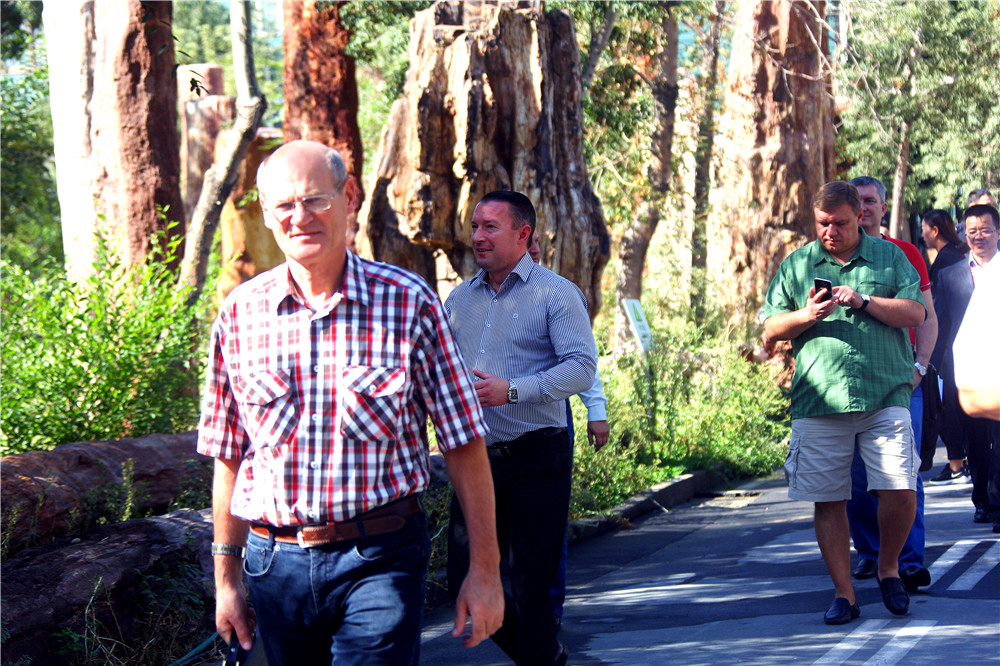 圖片關(guān)鍵詞 圖片關(guān)鍵詞