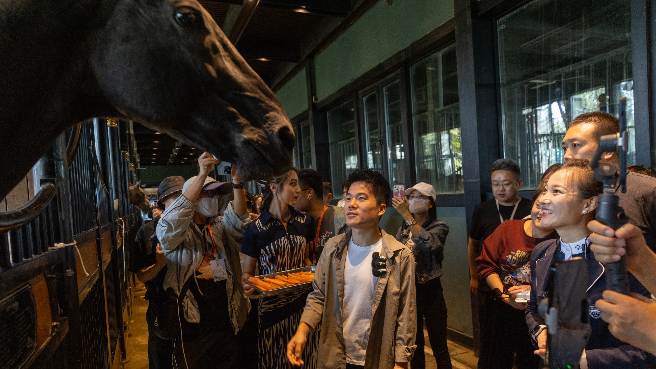 圖片關(guān)鍵詞